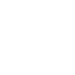 Fortices